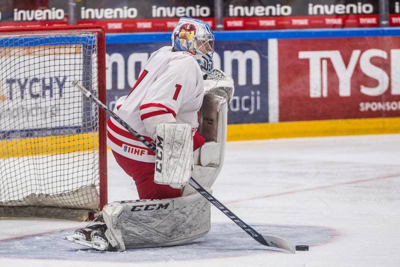 Ice Hockey. Poland U20. - Hungary U20. 08.04.2021