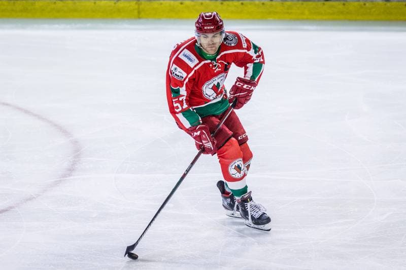 Ice Hockey. Sparing. Zaglebie Sosnowiec - Energa Torun. 27.08.2020