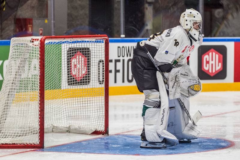 Ice Hockey. Champions Hockey League. GKS Tychy - Djurgarden Stockholm. 30.08.2019