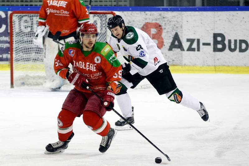 Ice Hockey. Polska Hokej Liga. Naprzod Janow - Zaglebie Sosnowiec. 23.02.2019