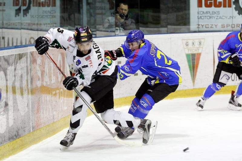 Ice Hockey. Polska Hokej Liga. GKS Tychy - Orlik Opole. 13.01.2017