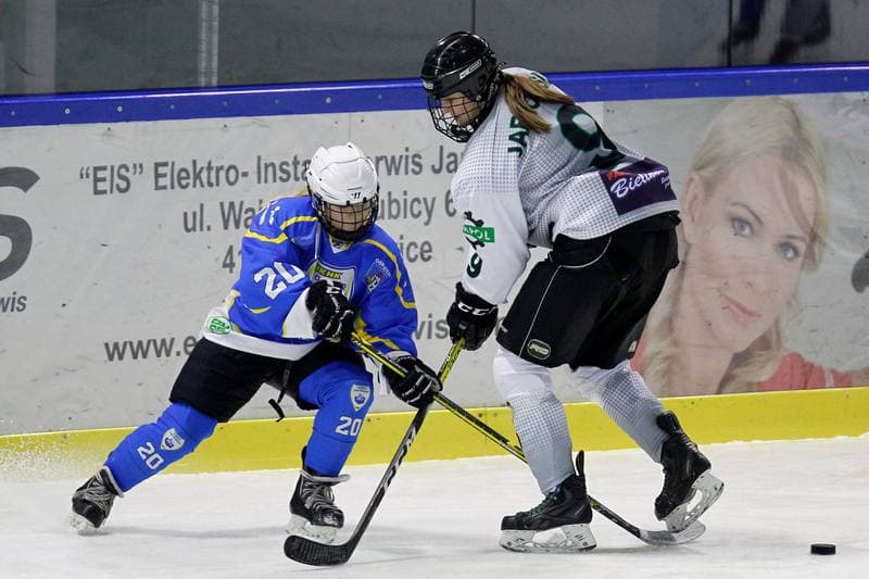 Ice Hockey. PLHK. Naprzod Janow - Unia Oswiecim. 20.01.2018