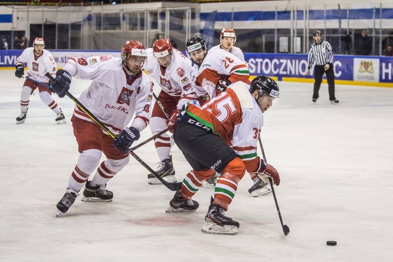 Ice Hockey. Euro Ice Hockey Challenge. Poland - Hungary. 10.11.2019