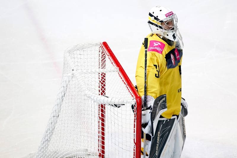 Ice Hockey. Tauron Hokej Liga. Tauron KH GKS Katowice - Anteo Naprzod Janow. 03.11.2017