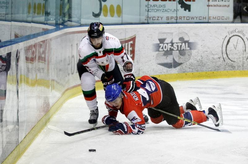 Ice Hockey. Tauron Hokej Liga. GKS Tychy - Polonia Bytom. 19.02.2016