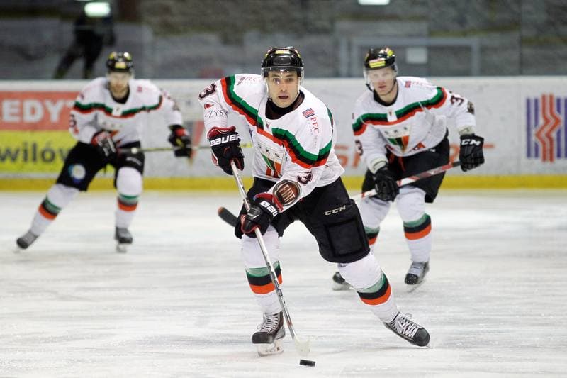 Ice Hockey. Polska Hokej Liga. GKS Tychy - Podhale Nowy Targ. 29.01.2016