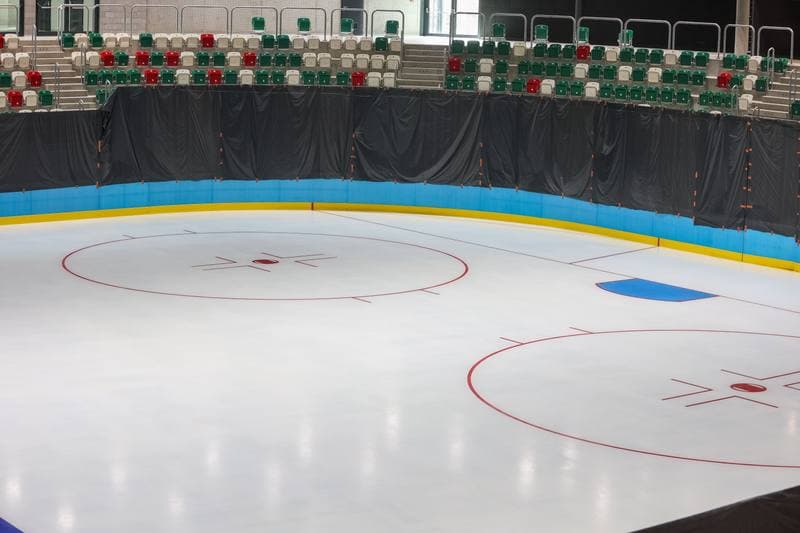 Ice Hockey. Zaglebie Sosnowiec. Training. 28.04.2023