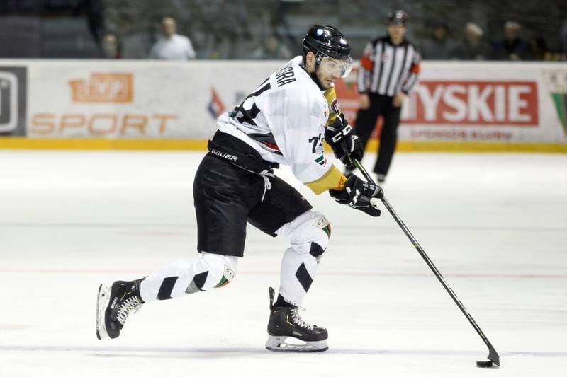 Ice Hockey. Polska Hokej Liga. GKS Tychy - MH Automatyka Gdansk. 06.03.2019