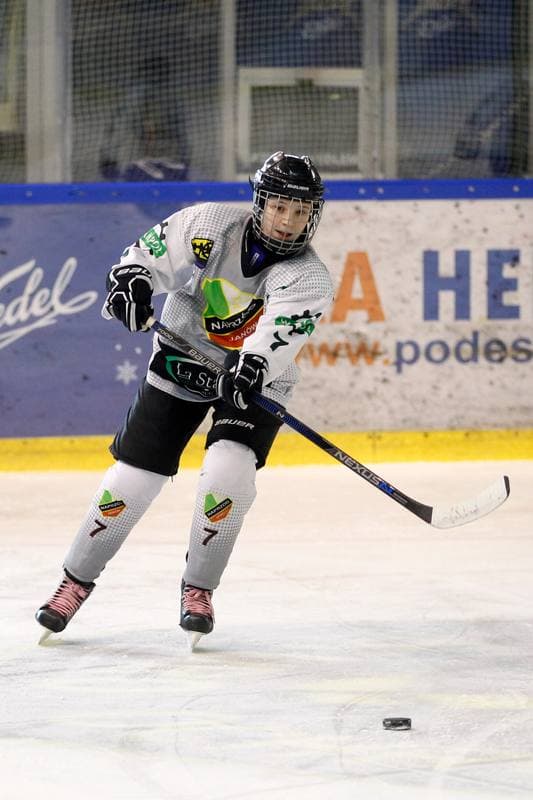 Ice Hockey. PLHK. Naprzod Janow - Kozice Poznan. 11.02.2018