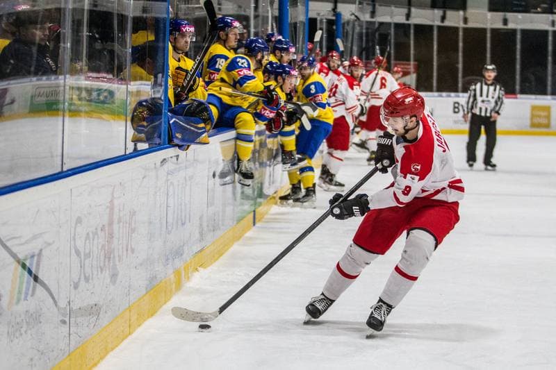 Ice Hockey. EIHC Christmas Cup. Poland - Ukraine. 18.12.2021