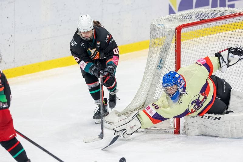 Ice Hockey. Tauron Liga Kobiet. Wiedzmy 71 Wroclaw - Kojotki Naprzod Janow. 03.12.2023