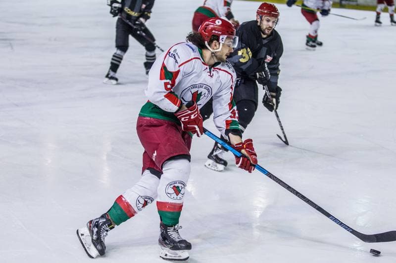 Ice Hockey. PHL. Zaglebie Sosnowiec - Comarch Cracovia. 31.01.2020