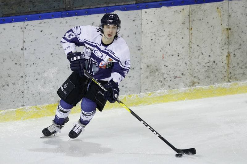 Ice Hockey. Polska Hokej Liga. Zaglebie Sosnowiec - MH Automatyka Gdansk. 02.01.2019