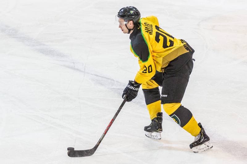 Ice Hockey. PHL. GKS Katowice - Naprzod Janow. 01.12.2019