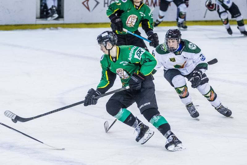 Ice Hockey. PHL. Naprzod Janow - JKH GKS Jastrzebie. 17.01.2020