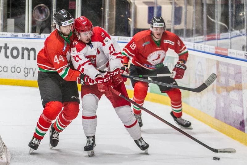 Ice Hockey. EIHC Christmas Cup. Poland - Hungary. 17.12.2021