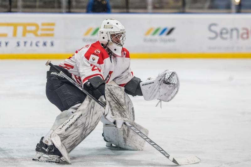 Ice Hockey. EIHC Christmas Cup. Poland - Ukraine. 18.12.2021