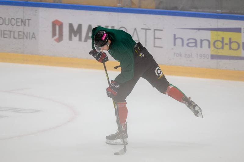 Ice Hockey. GKS Tychy. Training. 26.07.2022