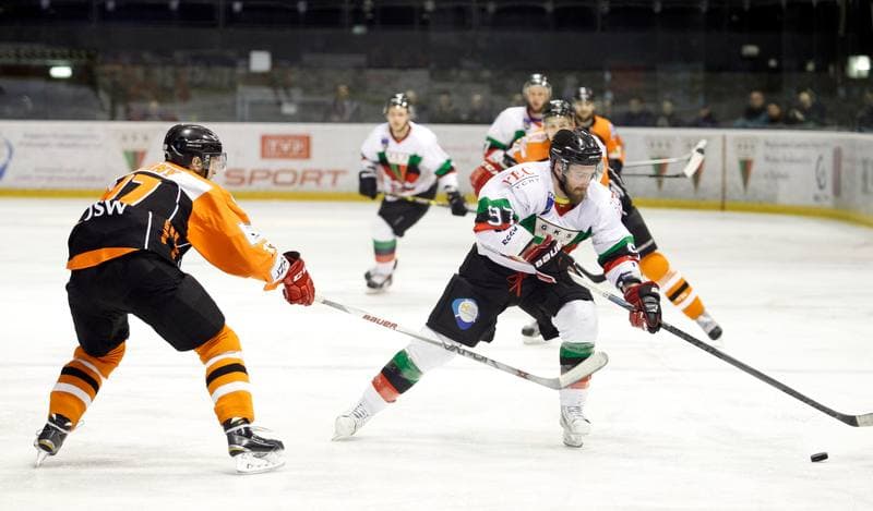 Ice Hockey. Polska Hokej Liga. GKS Tychy - JKH GKS Jastrzebie. 30.11.2014