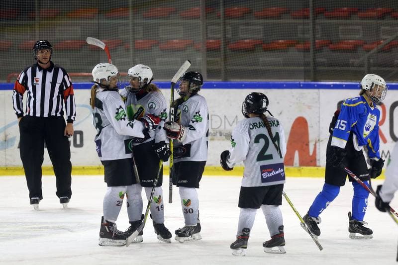 Ice Hockey. PLHK. Naprzod Janow - Unia Oswiecim. 23.09.2017