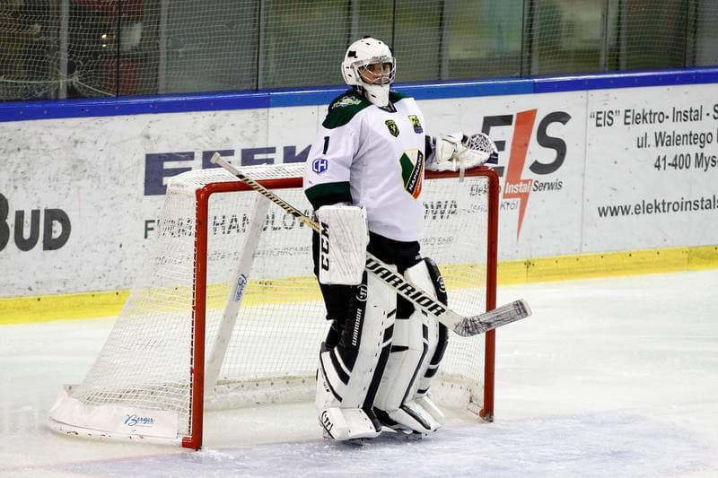 Ice Hockey. Polska Hokej Liga. Anteo Naprzod Janow - JKH GKS Jastrzebie. 03.12.2017