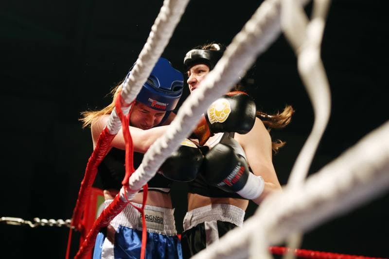 Kickboxing. WKN Challenge. Gala. 12.05.2017