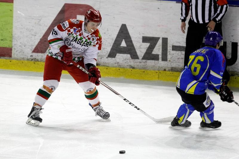 Ice Hockey. Polska Hokej Liga. Zaglebie Sosnowiec - Orlik Opole. 17.02.2019