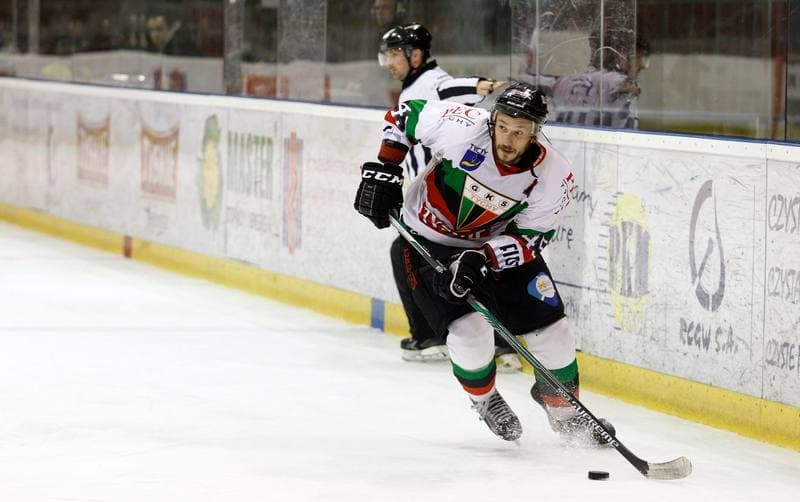 Ice Hockey. Polska Hokej Liga. GKS Tychy - JKH GKS Jastrzebie. 30.11.2014