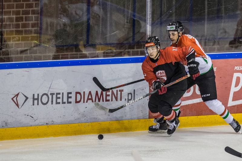 Ice Hockey. Euro Ice Hockey Challenge. Hungary - Japan. 09.11.2019