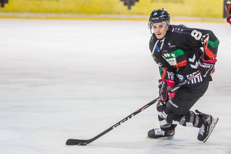 Ice Hockey. Polska Hokej Liga. GKS Katowice - GKS Tychy. 28.01.2020