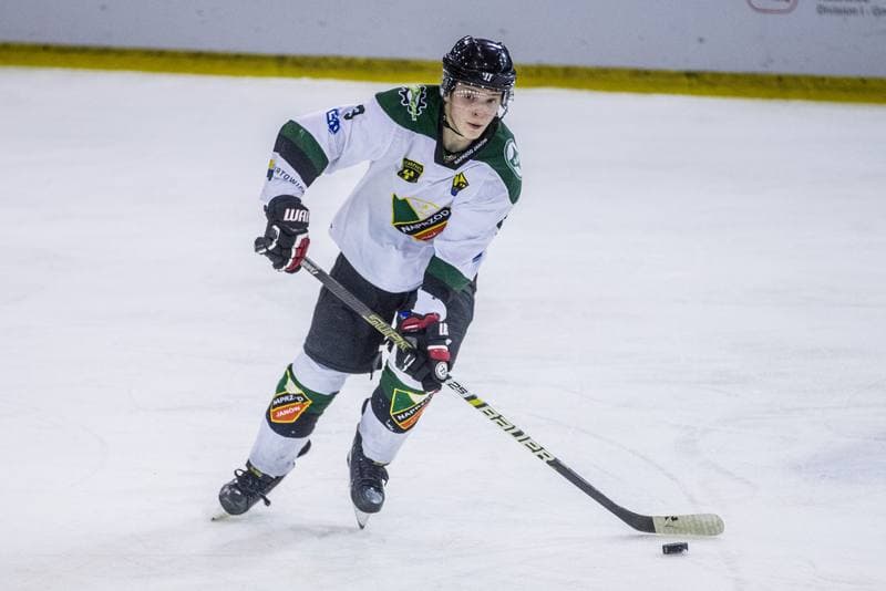 Ice Hockey. PHL. Naprzod Janow - Podhale Nowy Targ. 12.01.2020