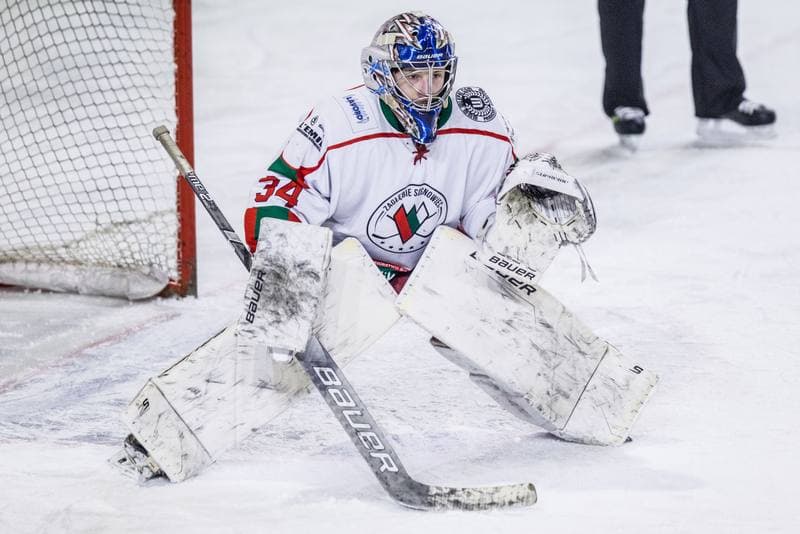 Ice Hockey. PHL. Zaglebie Sosnowiec - JKH GKS Jastrzebie. 21.01.2020