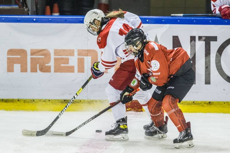 Ice Hockey. EWHL. Polska - KMH Budapeszt. 20.02.2021