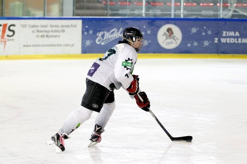 Ice Hockey. PLHK. Naprzod Janow - Kozice Poznan. 11.02.2018
