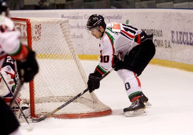 Ice Hockey. Polska Hokej Liga. GKS Tychy - Ciarko KH Sanok. 23.01.2015