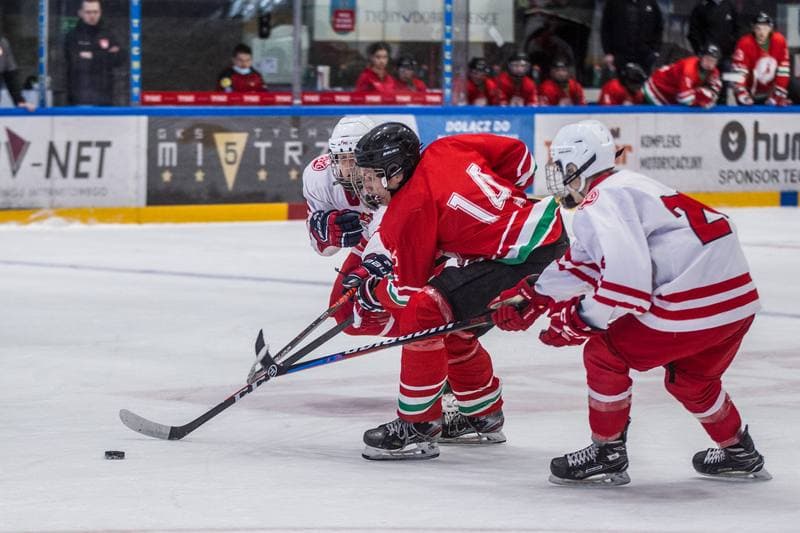 Ice Hockey. International Friendly. Poland U20 - Hungary U20. 08.04.2021