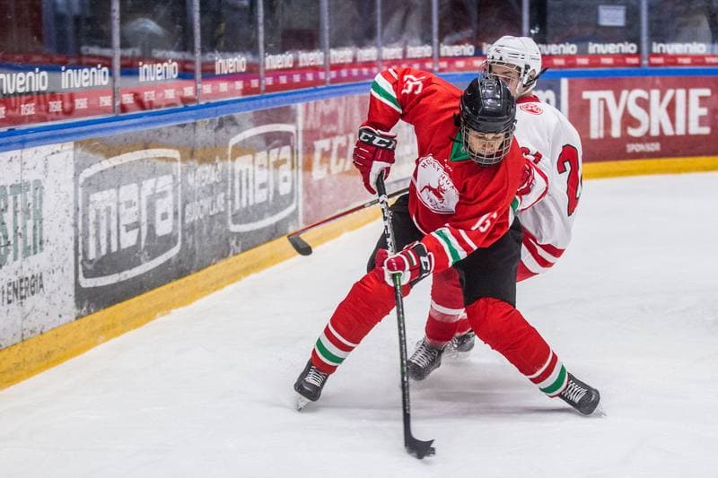 Ice Hockey. International Friendly. Poland U20 - Hungary U20. 08.04.2021