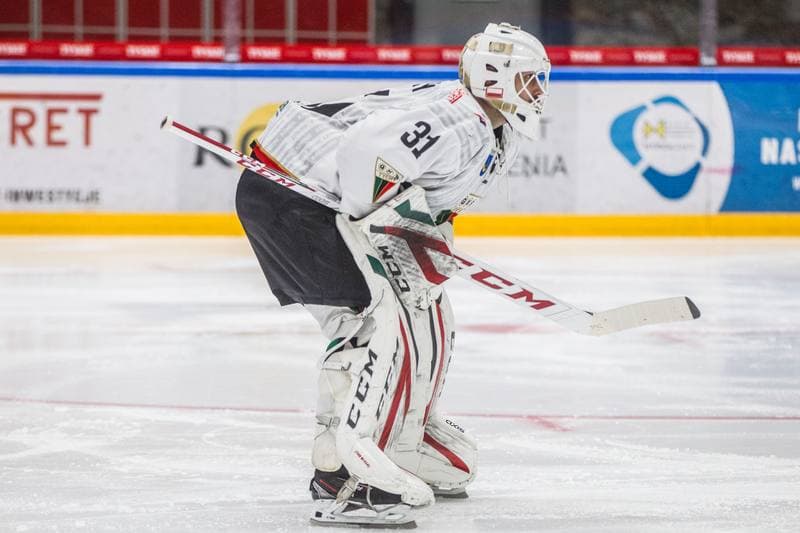 Ice Hockey. PHL. GKS Tychy - Ciarko STS Sanok. 15.01.2021
