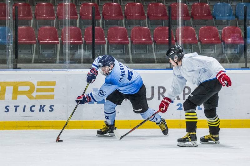 Ice Hockey. Hokejowa Reprezentacja Artystow Polskich. Training. 24.09.2021