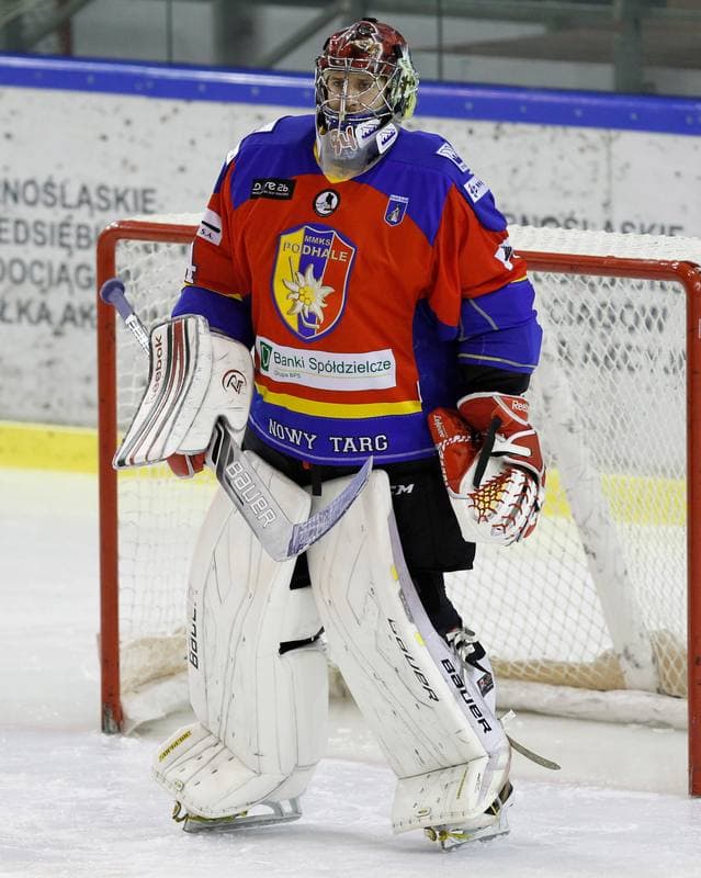 Ice Hockey. Polska Hokej Liga. Naprzod Janow - Podhale Nowy Targ. 14.11.2014