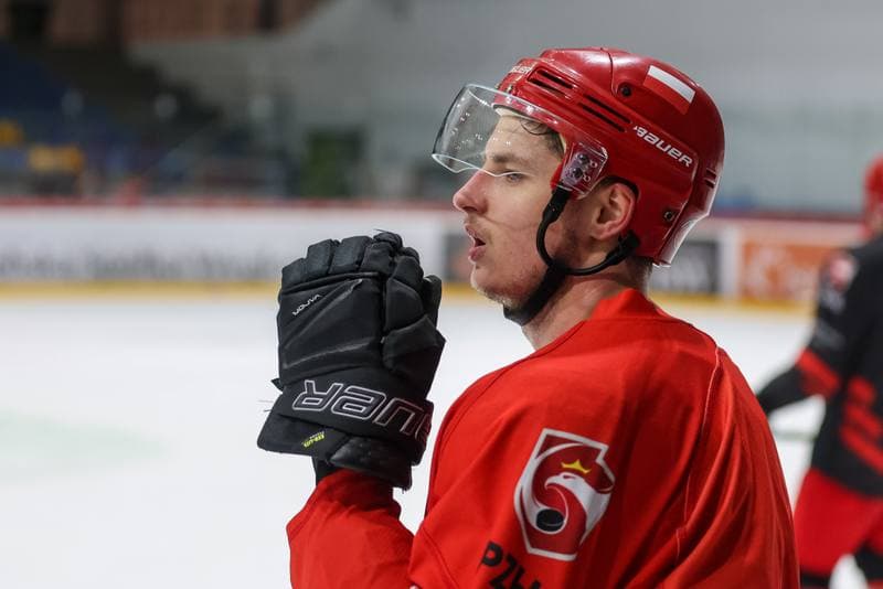 Ice Hockey. Poland national team. Training. 10.12.2023