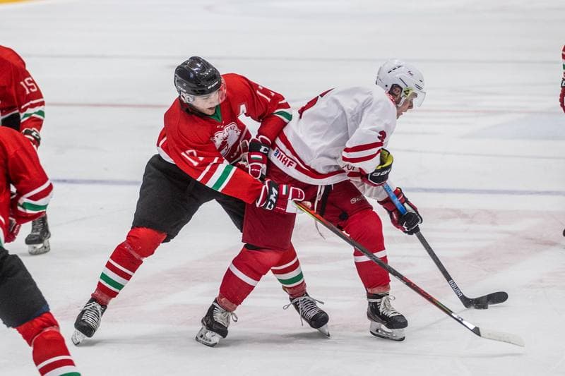 Ice Hockey. International Friendly. Poland U20 - Hungary U20. 08.04.2021