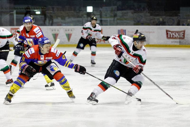 Ice Hockey. Polska Hokej Liga. GKS Tychy - Podhale Nowy Targ. 29.01.2016
