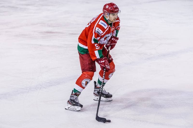 Ice Hockey. PHL. Naprzod Janow - Zaglebie Sosnowiec. 03.11.2019