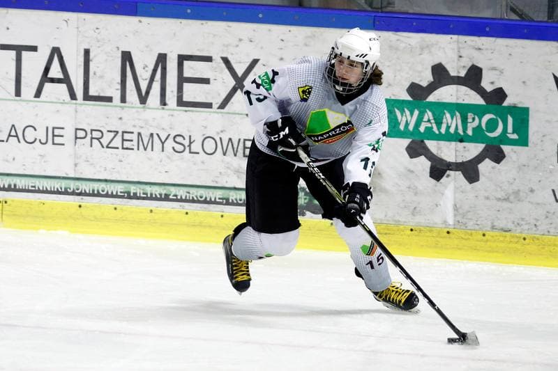 Ice Hockey. PLHK. Naprzod Janow - Unia Oswiecim. 20.01.2018