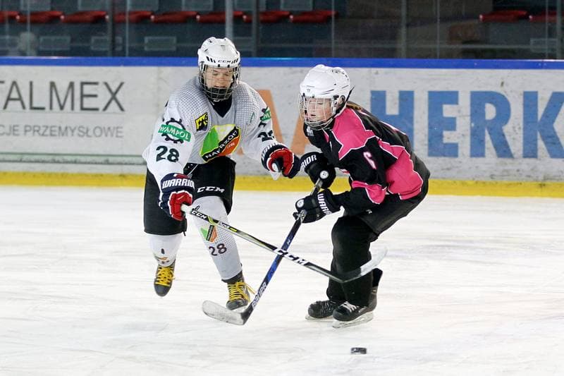 Ice Hockey. PLHK. Naprzod Janow - Kozice Poznan. 11.02.2018