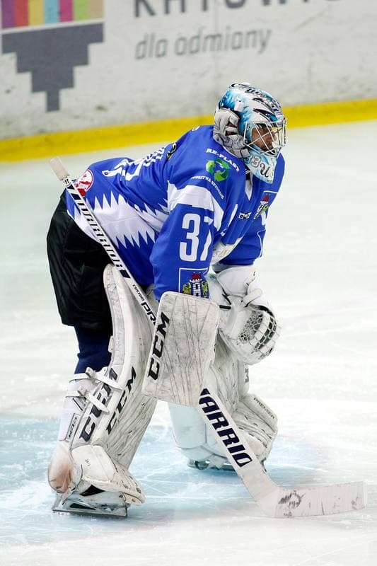Ice Hockey. Tauron Hokej Liga. Tauron KH GKS Katowice - Unia Oswiecim. 21.02.2019