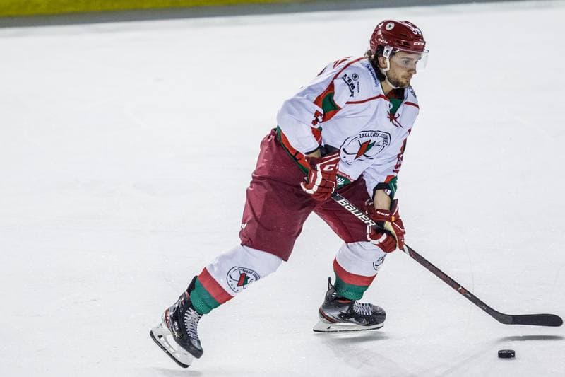 Ice Hockey. Polska Hokej Liga. Zaglebie Sosnowiec - Lotos PKH Gdansk. 22.09.2019