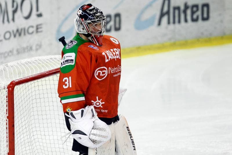 Ice Hockey. Polska Hokej Liga. Naprzod Janow - Zaglebie Sosnowiec. 23.02.2019