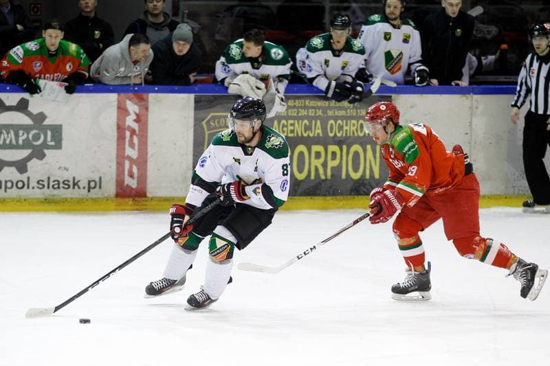Ice Hockey. Polska Hokej Liga. Naprzod Janow - Zaglebie Sosnowiec. 23.02.2019